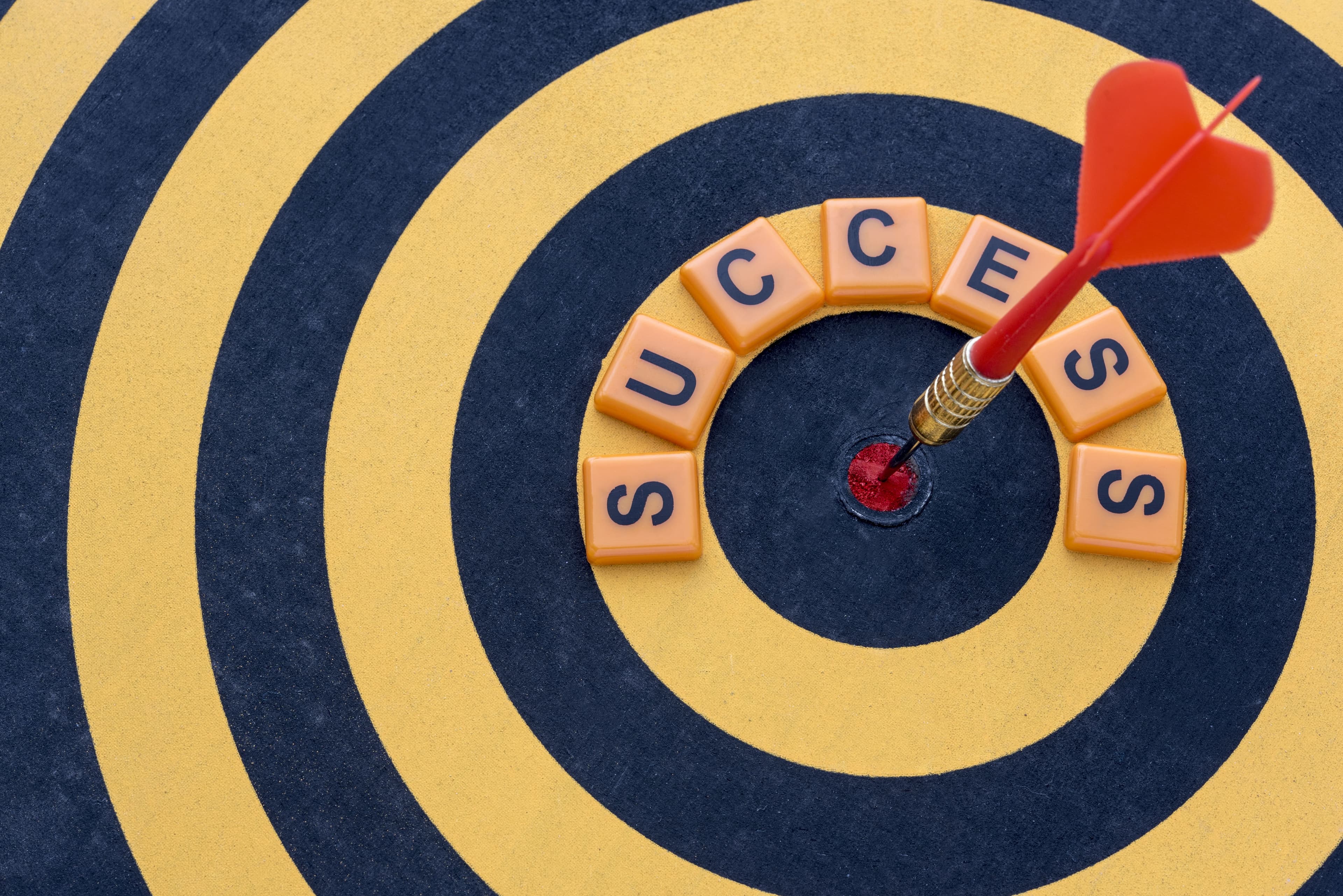 Building blocks for success