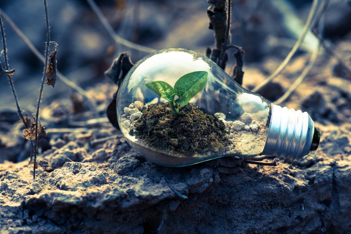Umfrage „Green Jobs“ Wie wichtig ist Nachhaltigkeit im Beruf
